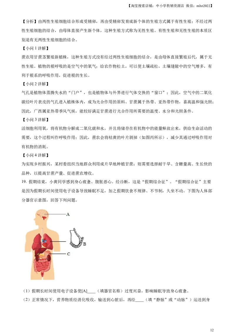 精品解析：2024年广西中考生物真题（解析版）_中考真题_8.生物中考真题2015-2024年_2024年中考生物真题_精品解析：2024年广西中考生物试题