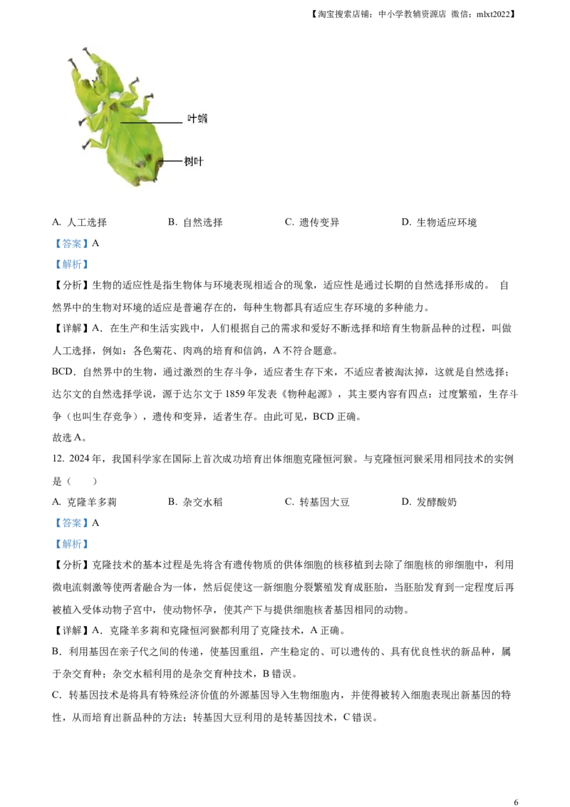 精品解析：2024年广西中考生物真题（解析版）_中考真题_8.生物中考真题2015-2024年_2024年中考生物真题_精品解析：2024年广西中考生物试题
