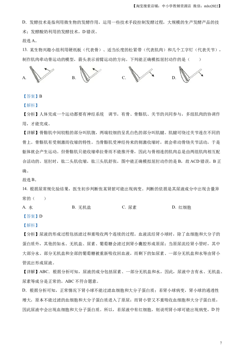 精品解析：2024年广西中考生物真题（解析版）_中考真题_8.生物中考真题2015-2024年_2024年中考生物真题_精品解析：2024年广西中考生物试题