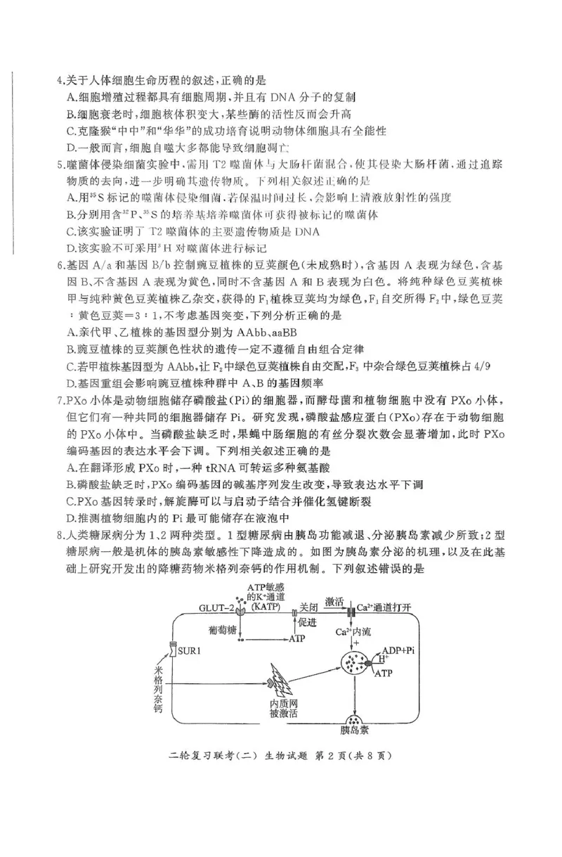 2025届河北省高三二轮复习联考（二）生物试卷_2025年4月_250426百师联盟2025届高三二轮复习联考（二）（全科）_百师联盟2025届高三二轮复习联考（二）生物试题及答案
