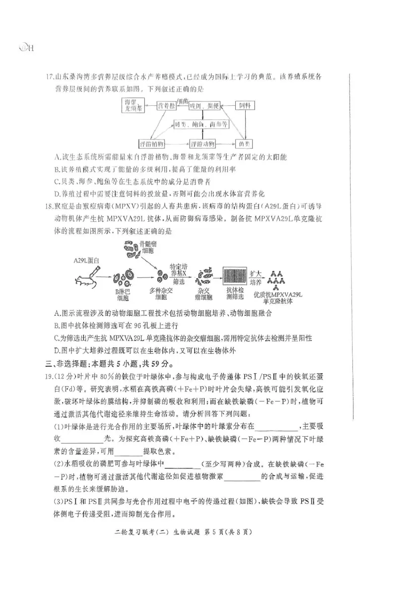 2025届河北省高三二轮复习联考（二）生物试卷_2025年4月_250426百师联盟2025届高三二轮复习联考（二）（全科）_百师联盟2025届高三二轮复习联考（二）生物试题及答案