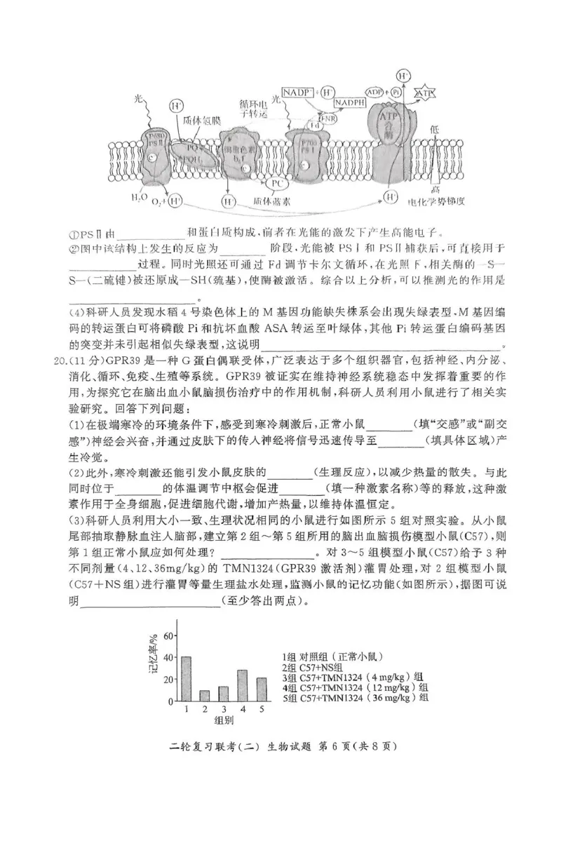 2025届河北省高三二轮复习联考（二）生物试卷_2025年4月_250426百师联盟2025届高三二轮复习联考（二）（全科）_百师联盟2025届高三二轮复习联考（二）生物试题及答案