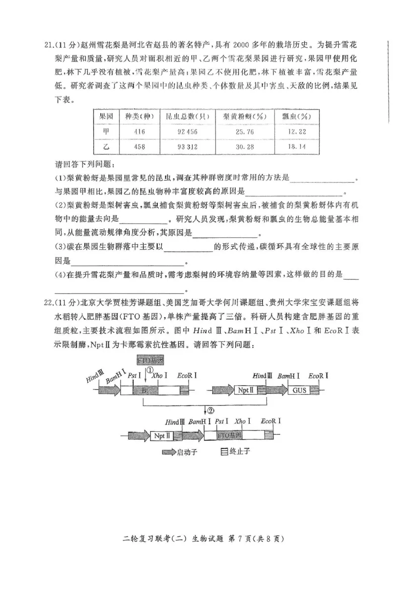 2025届河北省高三二轮复习联考（二）生物试卷_2025年4月_250426百师联盟2025届高三二轮复习联考（二）（全科）_百师联盟2025届高三二轮复习联考（二）生物试题及答案