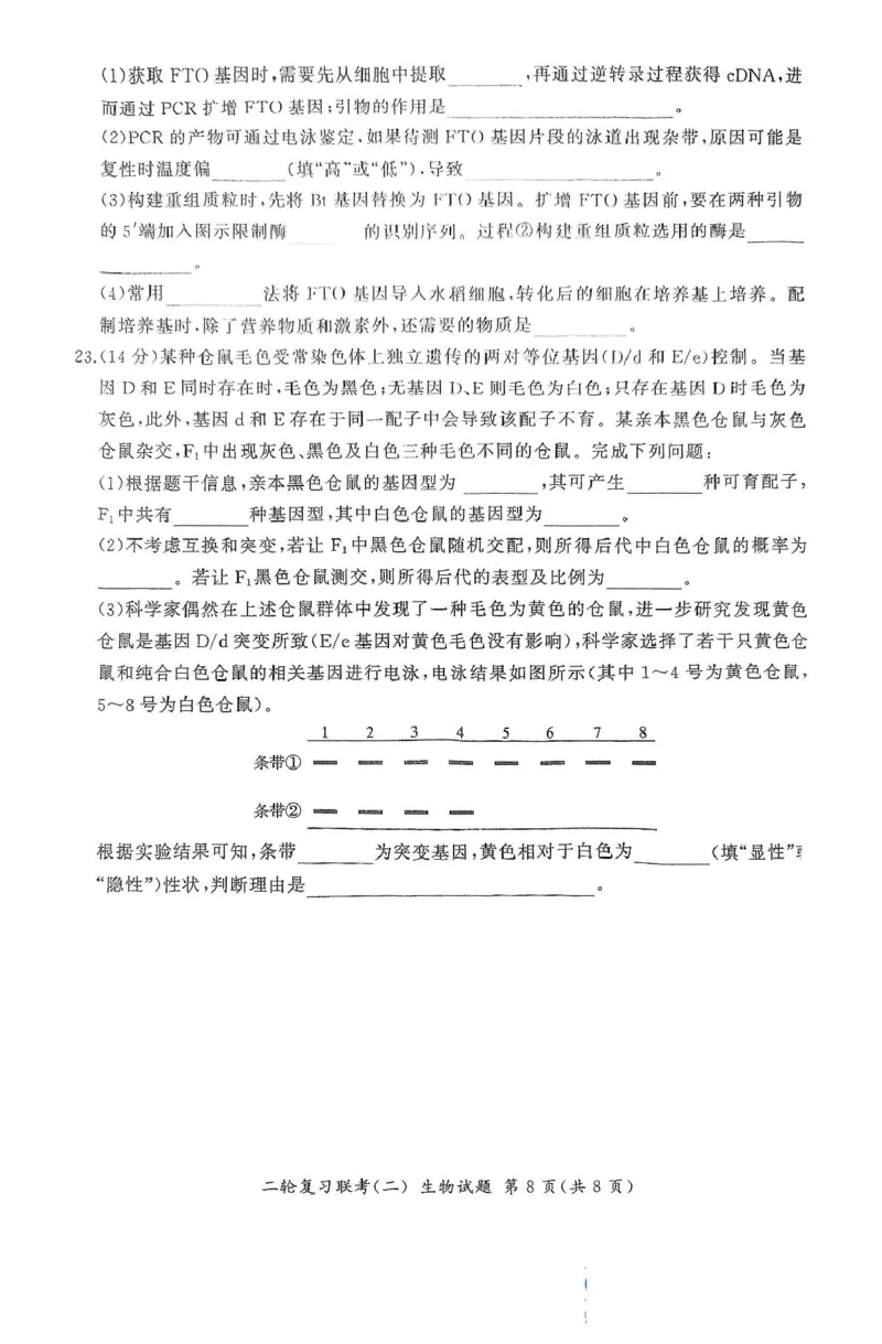 2025届河北省高三二轮复习联考（二）生物试卷_2025年4月_250426百师联盟2025届高三二轮复习联考（二）（全科）_百师联盟2025届高三二轮复习联考（二）生物试题及答案