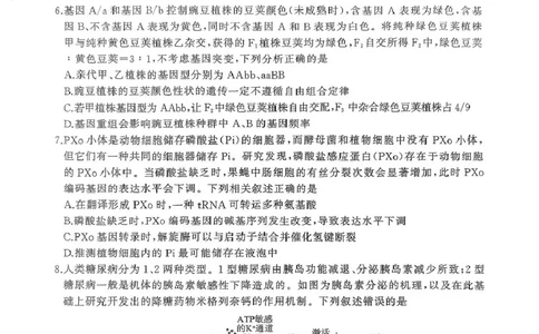 2025届河北省高三二轮复习联考（二）生物试卷_2025年4月_250426百师联盟2025届高三二轮复习联考（二）（全科）_百师联盟2025届高三二轮复习联考（二）生物试题及答案