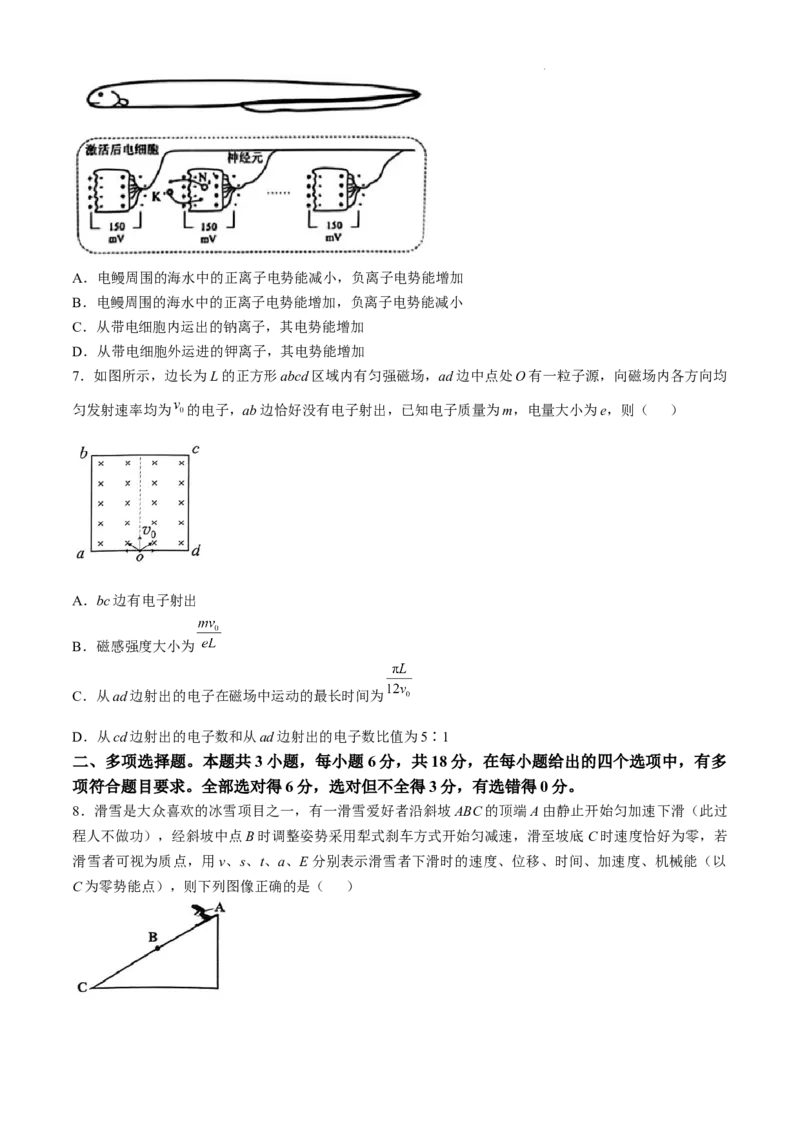2025届广东省佛山市普通高中教学质量检测（二）+物理试卷(无答案)_2025年4月_250419广东省佛山市2025届高三下学期教学质量检测（二）（全科）