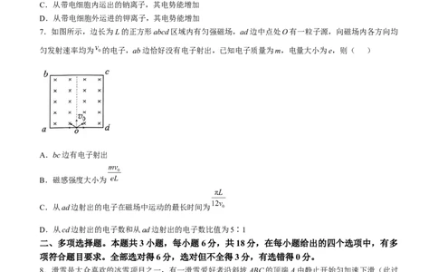 2025届广东省佛山市普通高中教学质量检测（二）+物理试卷(无答案)_2025年4月_250419广东省佛山市2025届高三下学期教学质量检测（二）（全科）