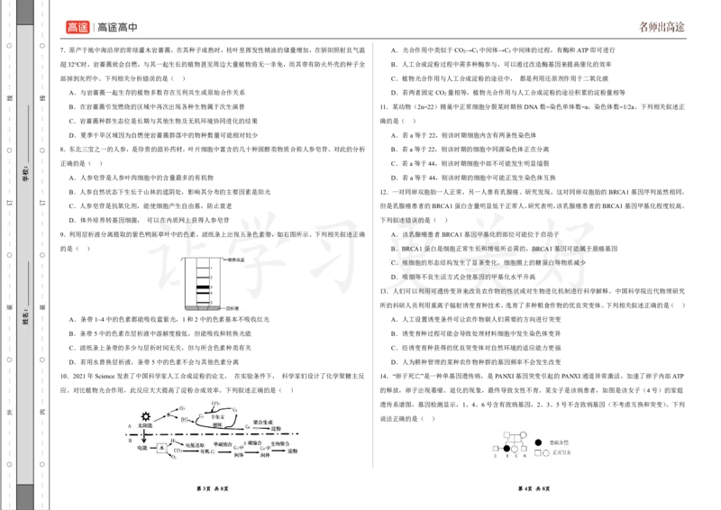 (8.12)-点睛押题卷&mdash;&mdash;广西卷_2024高考押题卷_132024高途全系列_26高途点睛卷_2024点睛密卷-生物