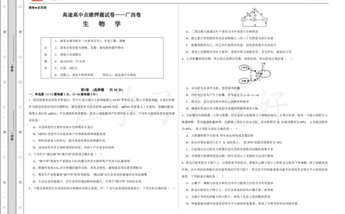(8.12)-点睛押题卷&mdash;&mdash;广西卷_2024高考押题卷_132024高途全系列_26高途点睛卷_2024点睛密卷-生物