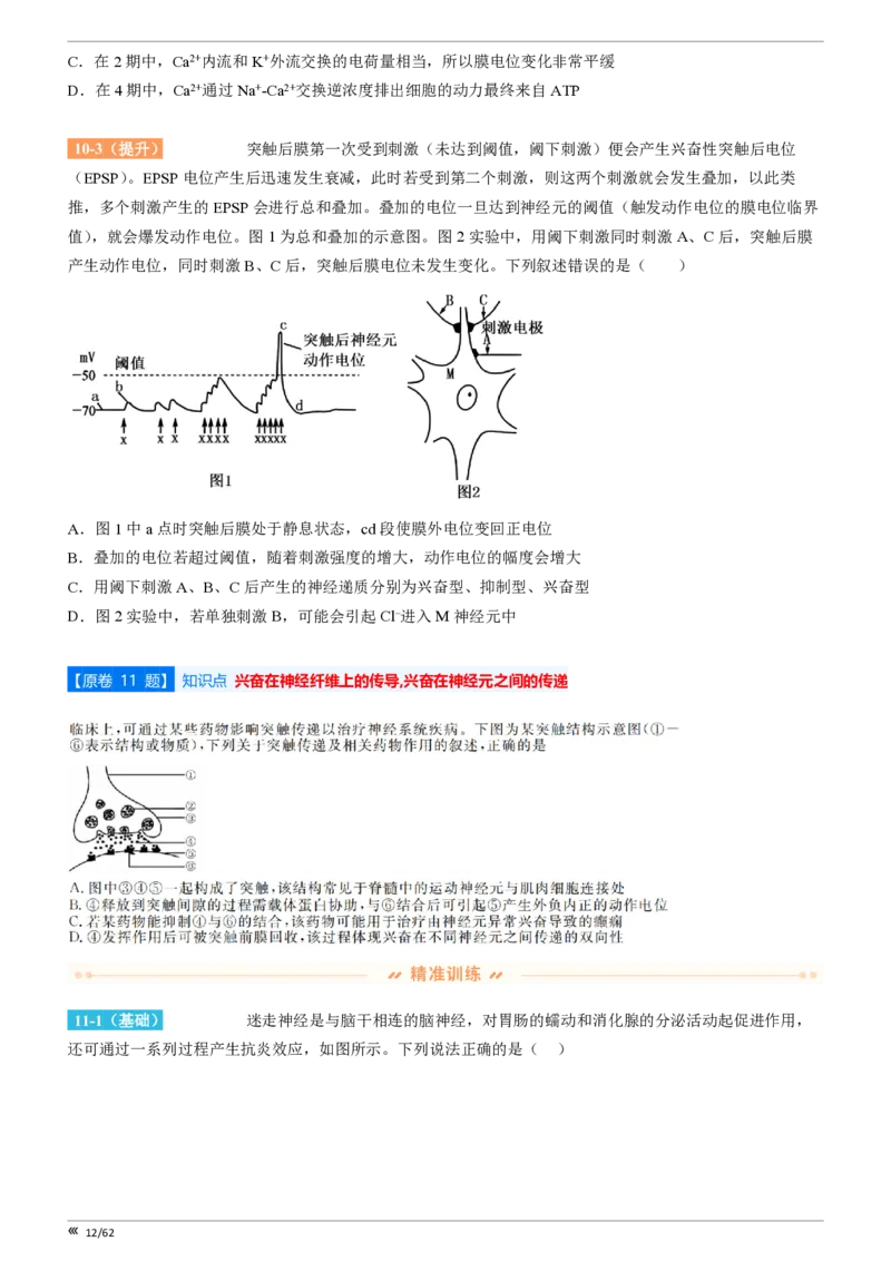点石联考2025年10月高二生物巩固卷(1)_1多考区联考_251025点石联考2025年10月高二巩固卷（全）