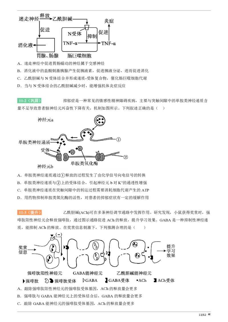 点石联考2025年10月高二生物巩固卷(1)_1多考区联考_251025点石联考2025年10月高二巩固卷（全）