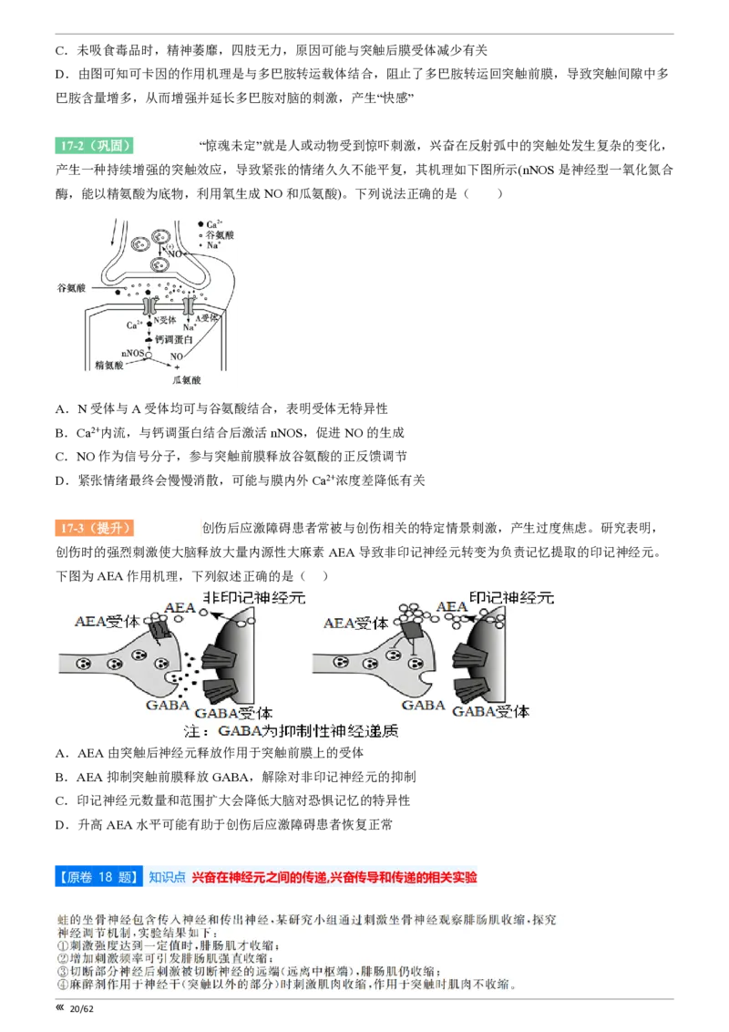点石联考2025年10月高二生物巩固卷(1)_1多考区联考_251025点石联考2025年10月高二巩固卷（全）