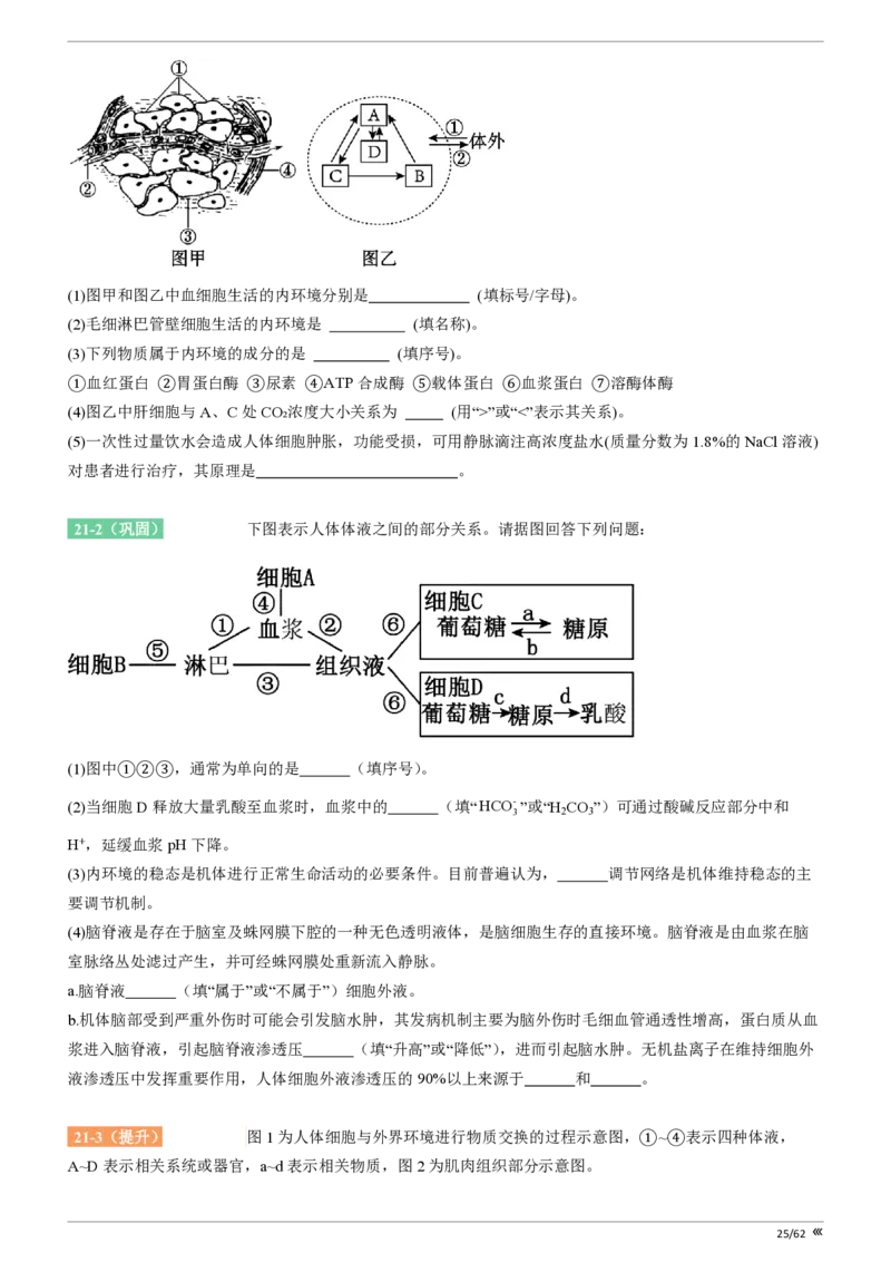 点石联考2025年10月高二生物巩固卷(1)_1多考区联考_251025点石联考2025年10月高二巩固卷（全）