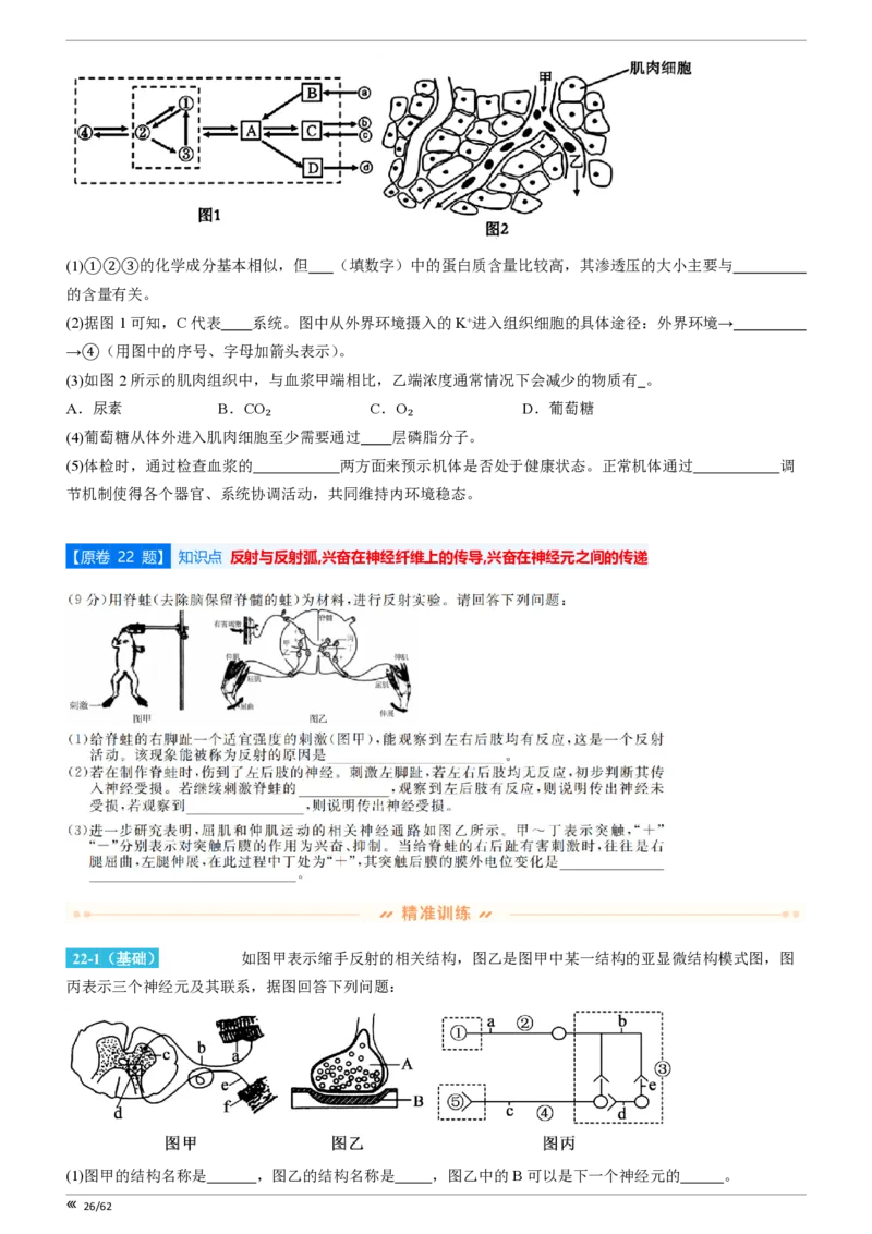 点石联考2025年10月高二生物巩固卷(1)_1多考区联考_251025点石联考2025年10月高二巩固卷（全）