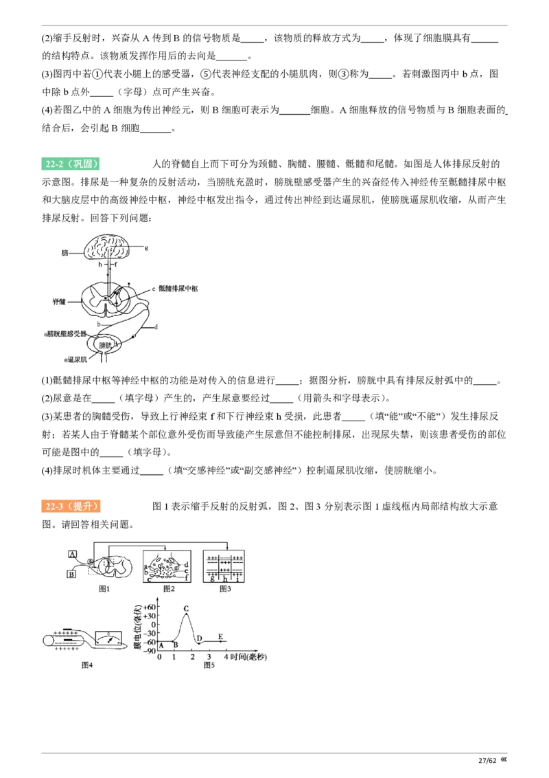 点石联考2025年10月高二生物巩固卷(1)_1多考区联考_251025点石联考2025年10月高二巩固卷（全）