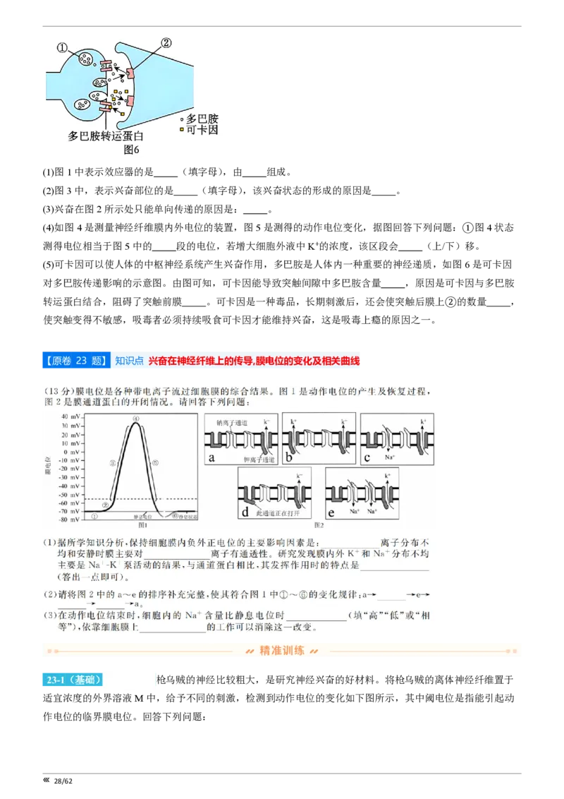 点石联考2025年10月高二生物巩固卷(1)_1多考区联考_251025点石联考2025年10月高二巩固卷（全）