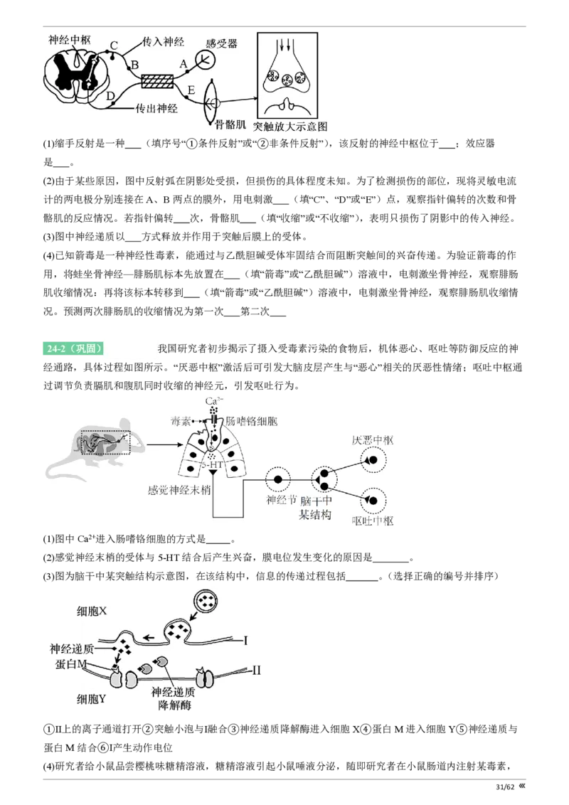 点石联考2025年10月高二生物巩固卷(1)_1多考区联考_251025点石联考2025年10月高二巩固卷（全）