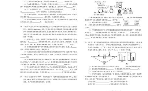 辽宁省葫芦岛市2023-2024学年高三上学期期末学业质量监测生物试题_2024届辽宁省葫芦岛市高三上学期期末学业质量监测_辽宁省葫芦岛市2024届高三上学期期末学业质量监测生物