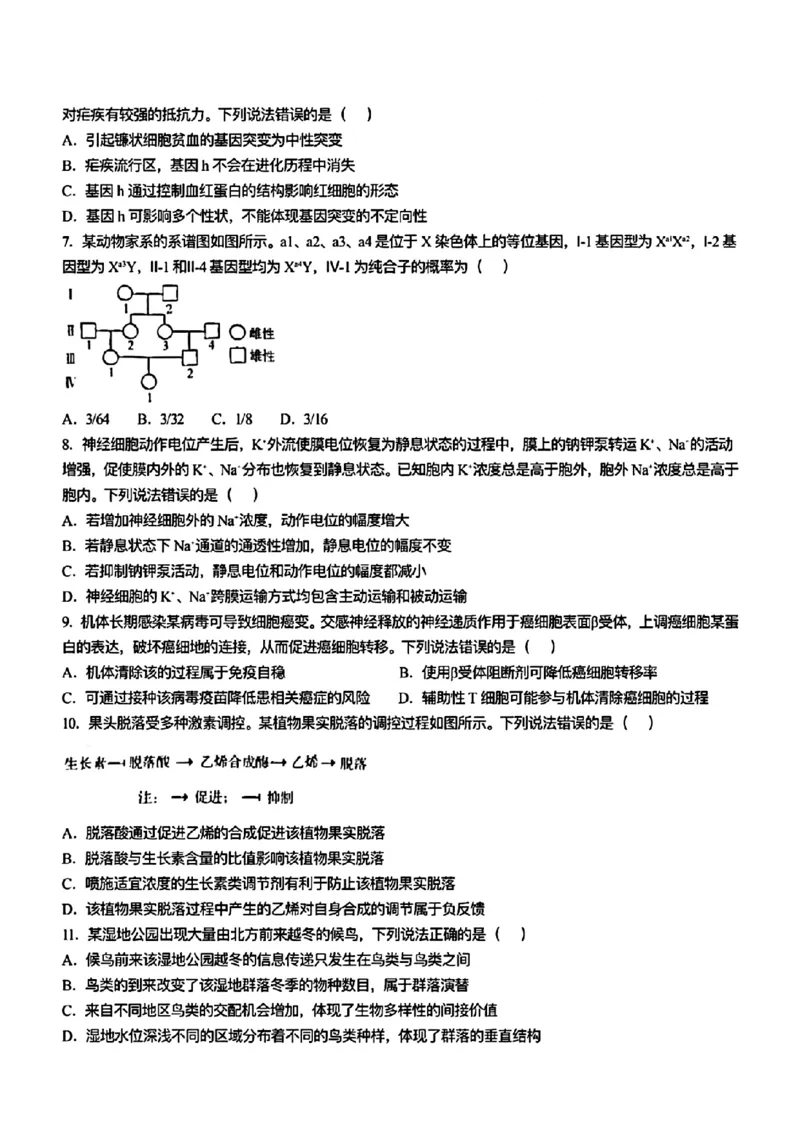 2025《高考真题&bull;山东》生物_2025《全国高考真题卷》各地方卷_2025《高考真题&bull;山东》