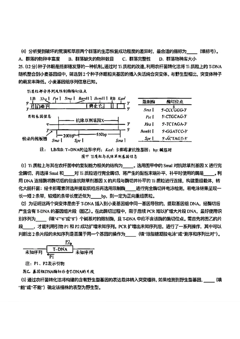 2025《高考真题&bull;山东》生物_2025《全国高考真题卷》各地方卷_2025《高考真题&bull;山东》