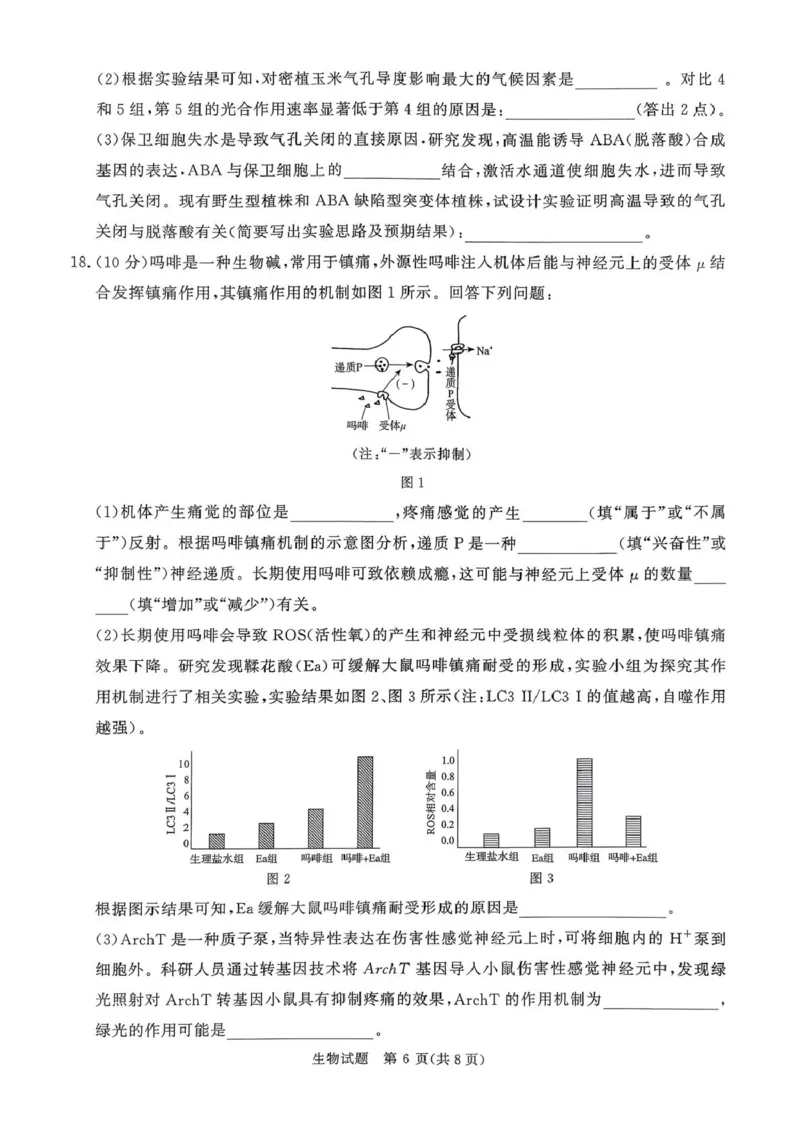 2025&mdash;2026学年高三9月高三质量检测生物试题答案解析评分细则2025&mdash;2026学年高三9月高三质量检测生物试题_2025年9月