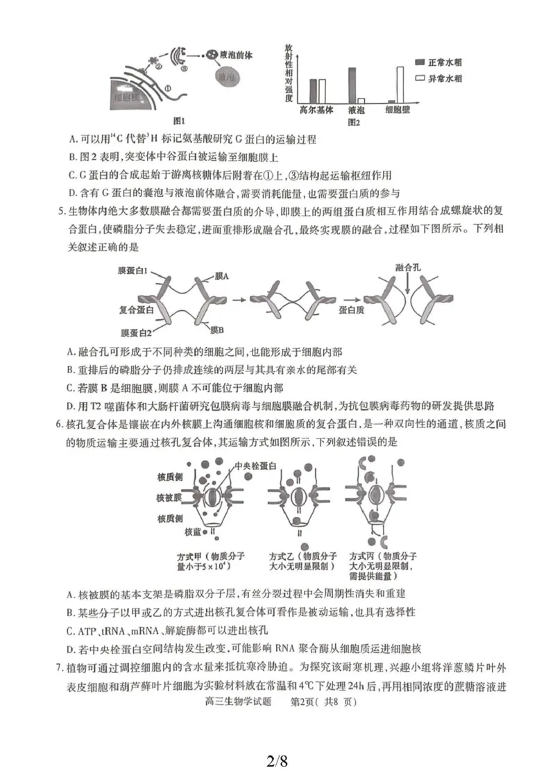2025-2026学年普通高中高三第一次教学质量检测生物_2025年10月_251030河南省信阳市2025-2026学年普通高中高三第一次教学质量检测（全科)_2025-2026学年普通高中高三第一次教学质量检测生物