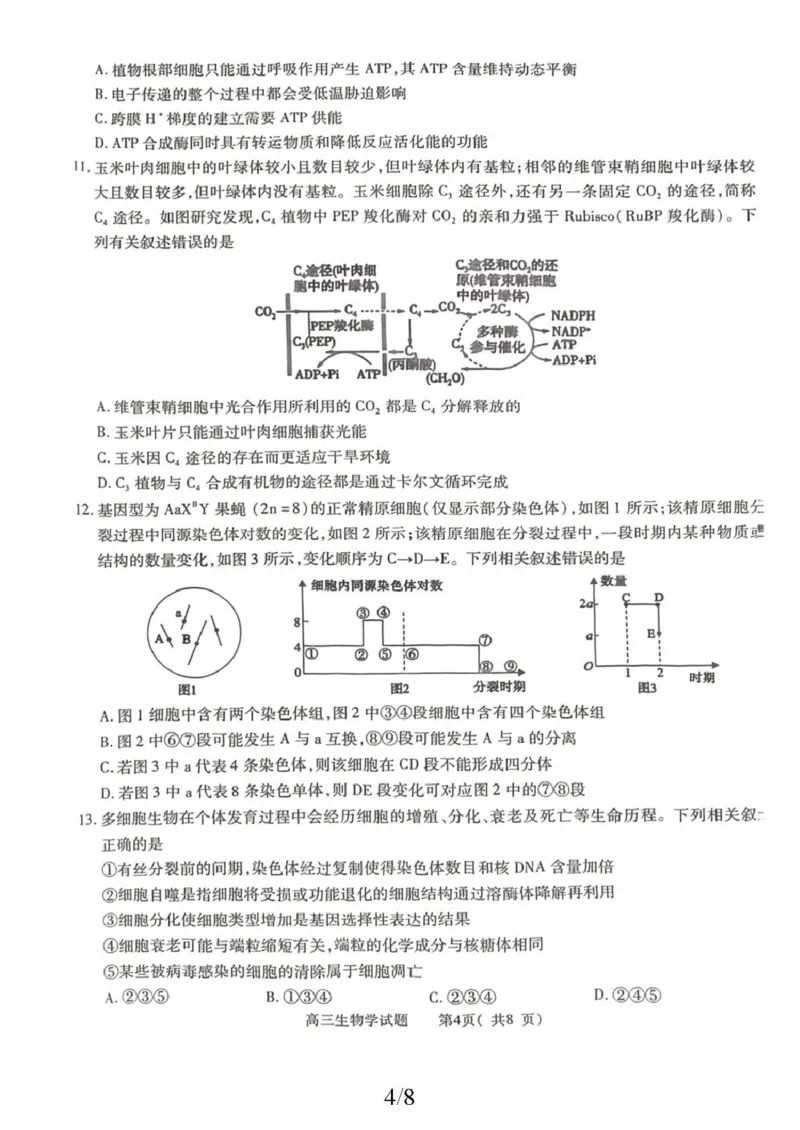 2025-2026学年普通高中高三第一次教学质量检测生物_2025年10月_251030河南省信阳市2025-2026学年普通高中高三第一次教学质量检测（全科)_2025-2026学年普通高中高三第一次教学质量检测生物
