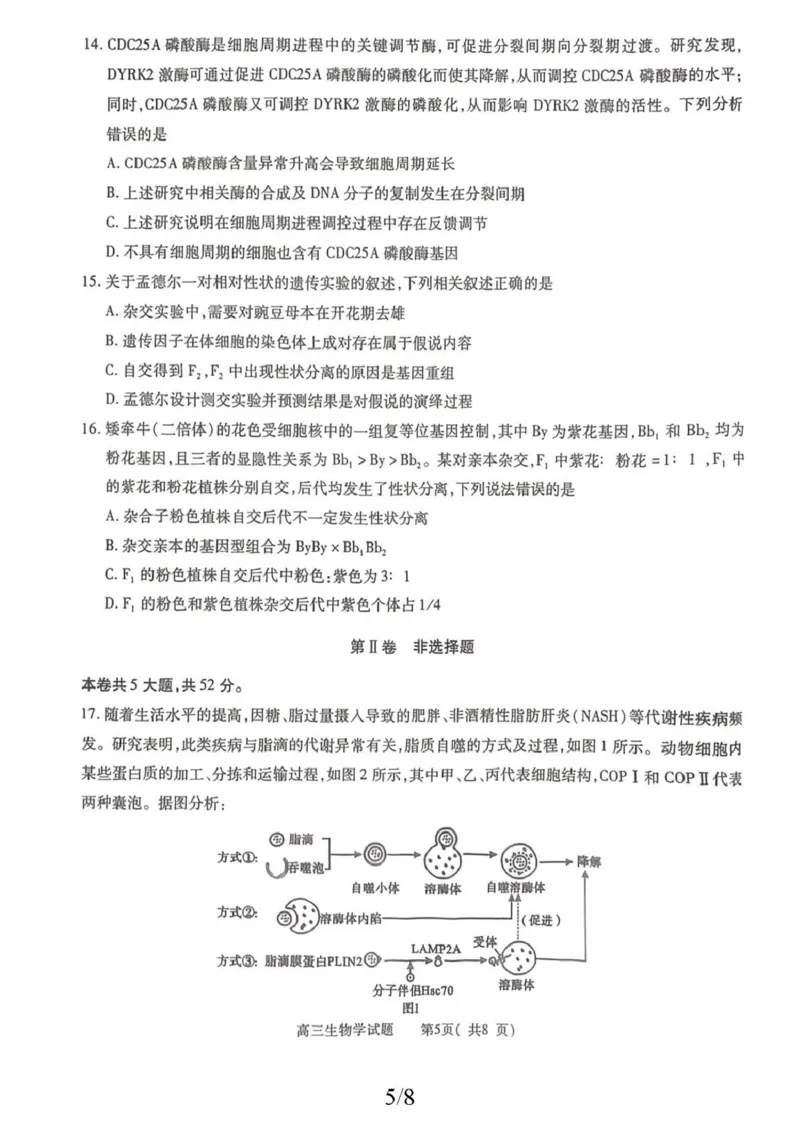 2025-2026学年普通高中高三第一次教学质量检测生物_2025年10月_251030河南省信阳市2025-2026学年普通高中高三第一次教学质量检测（全科)_2025-2026学年普通高中高三第一次教学质量检测生物