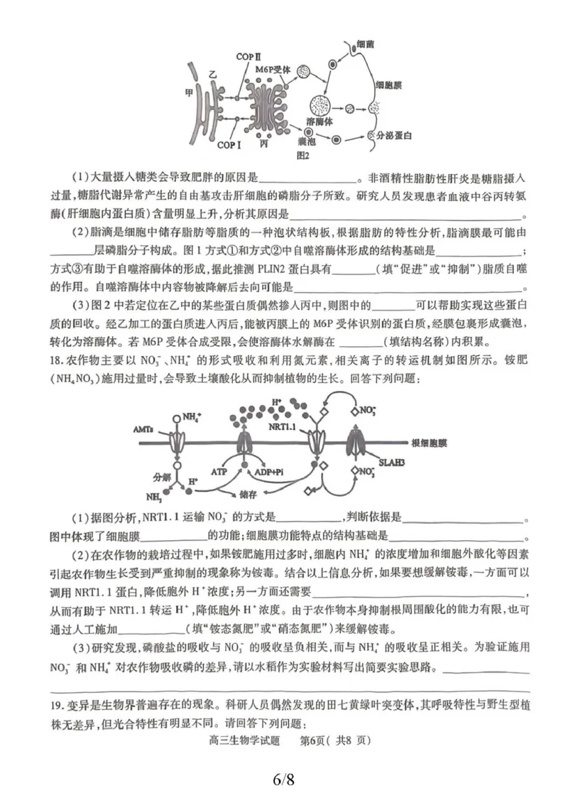2025-2026学年普通高中高三第一次教学质量检测生物_2025年10月_251030河南省信阳市2025-2026学年普通高中高三第一次教学质量检测（全科)_2025-2026学年普通高中高三第一次教学质量检测生物