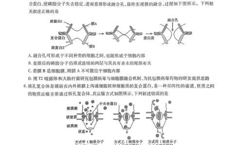 2025-2026学年普通高中高三第一次教学质量检测生物_2025年10月_251030河南省信阳市2025-2026学年普通高中高三第一次教学质量检测（全科)_2025-2026学年普通高中高三第一次教学质量检测生物