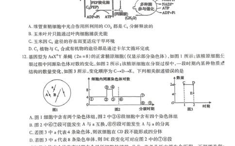 2025-2026学年普通高中高三第一次教学质量检测生物_2025年10月_251030河南省信阳市2025-2026学年普通高中高三第一次教学质量检测（全科)_2025-2026学年普通高中高三第一次教学质量检测生物