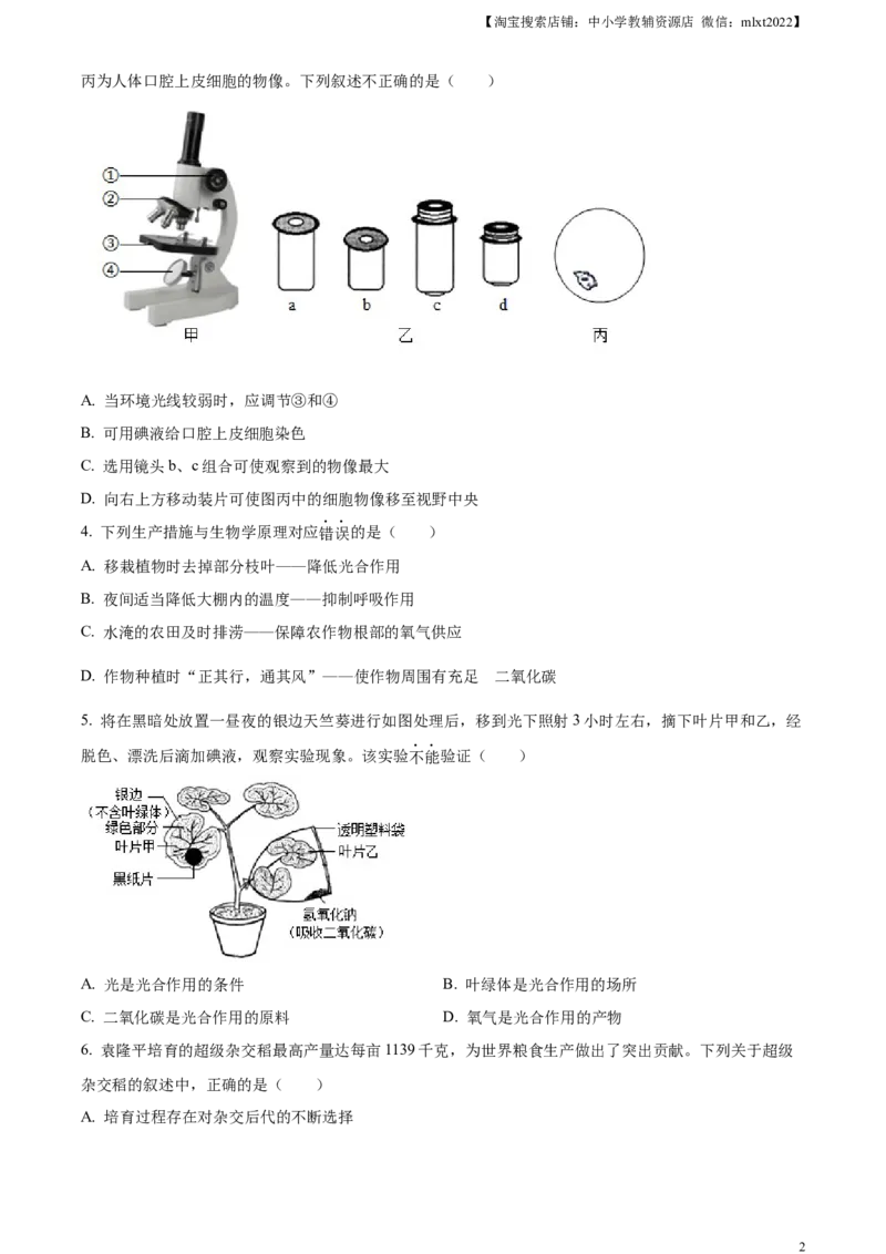 精品解析：2024年山东省滨州市中考生物真题（原卷版）_中考真题_8.生物中考真题2015-2024年_2024年中考生物真题_精品解析：2024年山东省滨州市中考生物真题