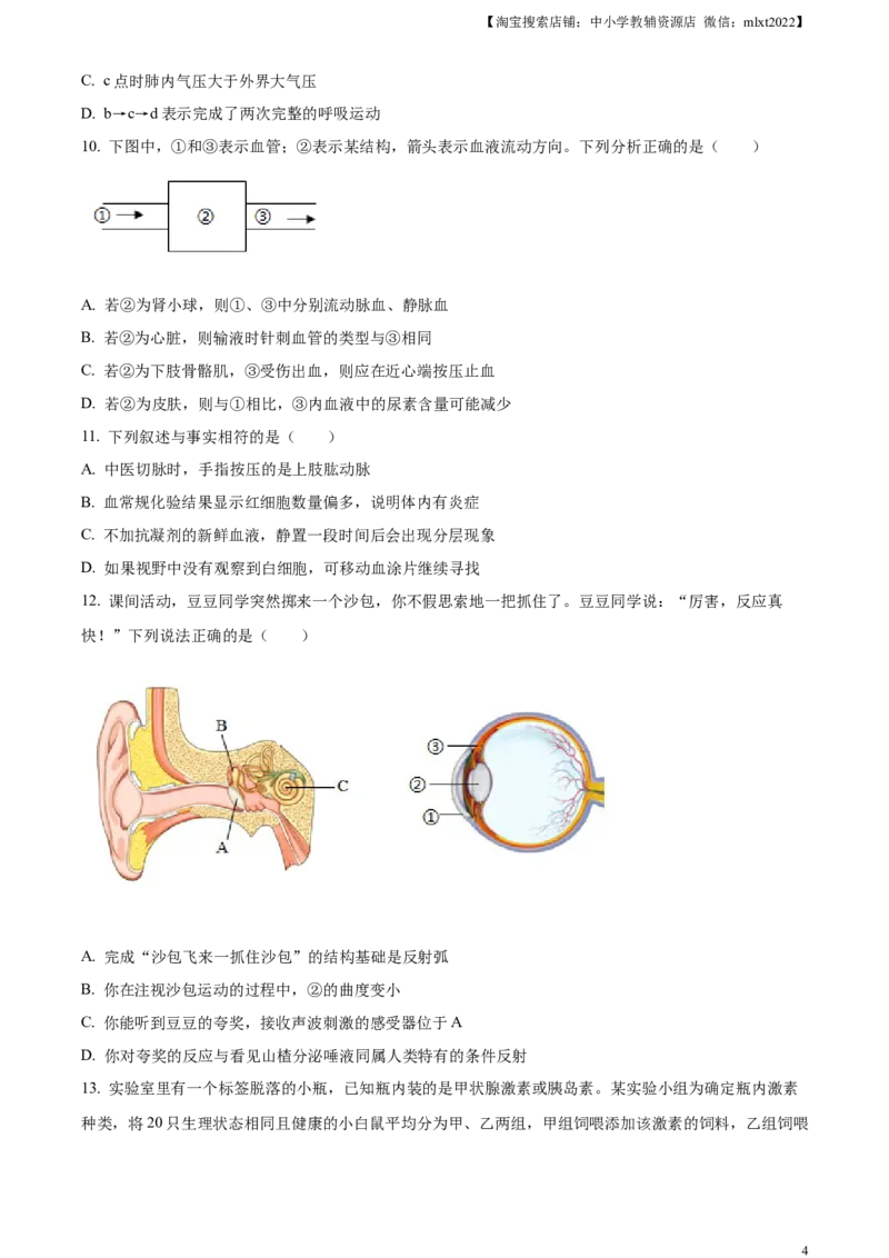 精品解析：2024年山东省滨州市中考生物真题（原卷版）_中考真题_8.生物中考真题2015-2024年_2024年中考生物真题_精品解析：2024年山东省滨州市中考生物真题