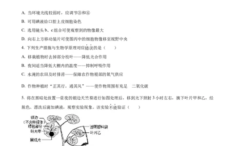 精品解析：2024年山东省滨州市中考生物真题（原卷版）_中考真题_8.生物中考真题2015-2024年_2024年中考生物真题_精品解析：2024年山东省滨州市中考生物真题