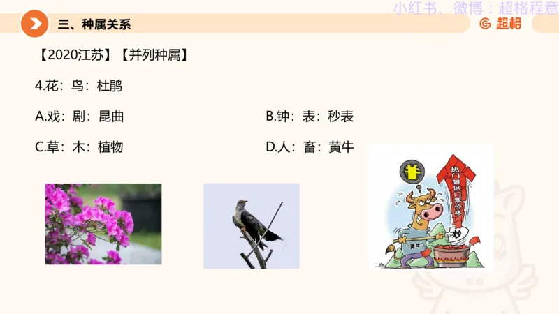 逻辑、定义、类比合版文件_20240911205332_2026考公资料_（05）超格_行测申论2025超格合集(行测&申论&政治理论)_判断2025超格判断推理全家桶狂刷1000题_思维导图合集