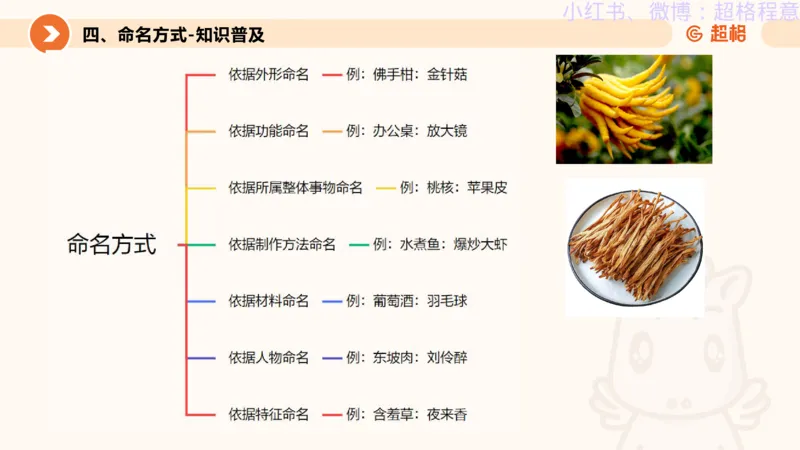 逻辑、定义、类比合版文件_20240911205332_2026考公资料_（05）超格_行测申论2025超格合集(行测&申论&政治理论)_判断2025超格判断推理全家桶狂刷1000题_思维导图合集