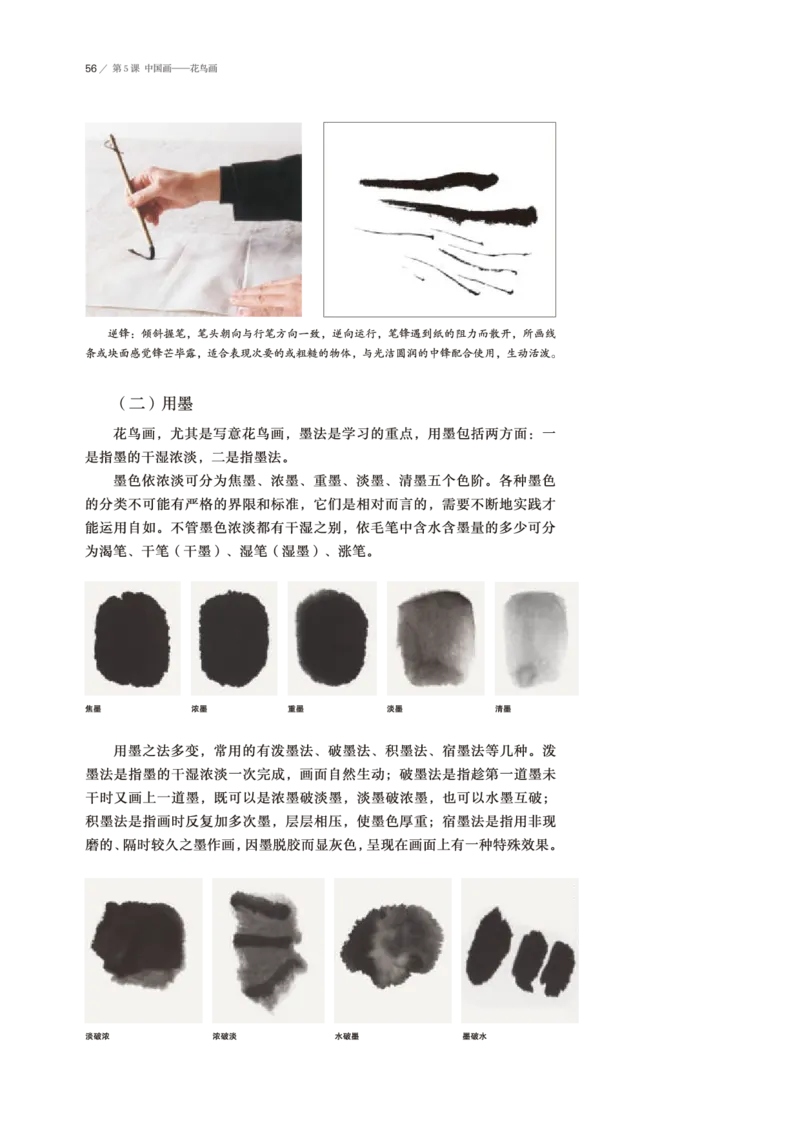 鲁美版美术选修2高清教材_4-教培资料-26年最新资料-同步更新_初中高中教资_03科三专项（进去保存报考的学科即可）_02科三专项（笔记真题思维导图教学设计版本二）