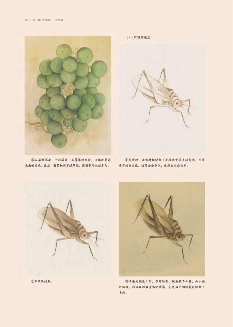 鲁美版美术选修2高清教材_4-教培资料-26年最新资料-同步更新_初中高中教资_03科三专项（进去保存报考的学科即可）_02科三专项（笔记真题思维导图教学设计版本二）