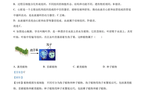 精品解析：2024年山东省泰安市中考生物真题（解析版）_中考真题_8.生物中考真题2015-2024年_2024年中考生物真题_精品解析：2024年山东省泰安市中考生物真题