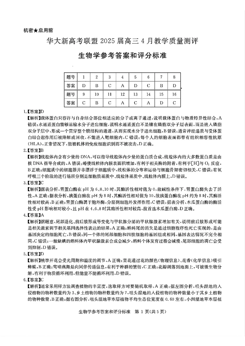 华大新高考联盟2025届高三4月教学质量测评生物答案_2025年4月_250428湖北省华大新高考联盟2025届高三4月教学质量测评（全科）_华大新高考联盟2025届高三4月教学质量测评生物