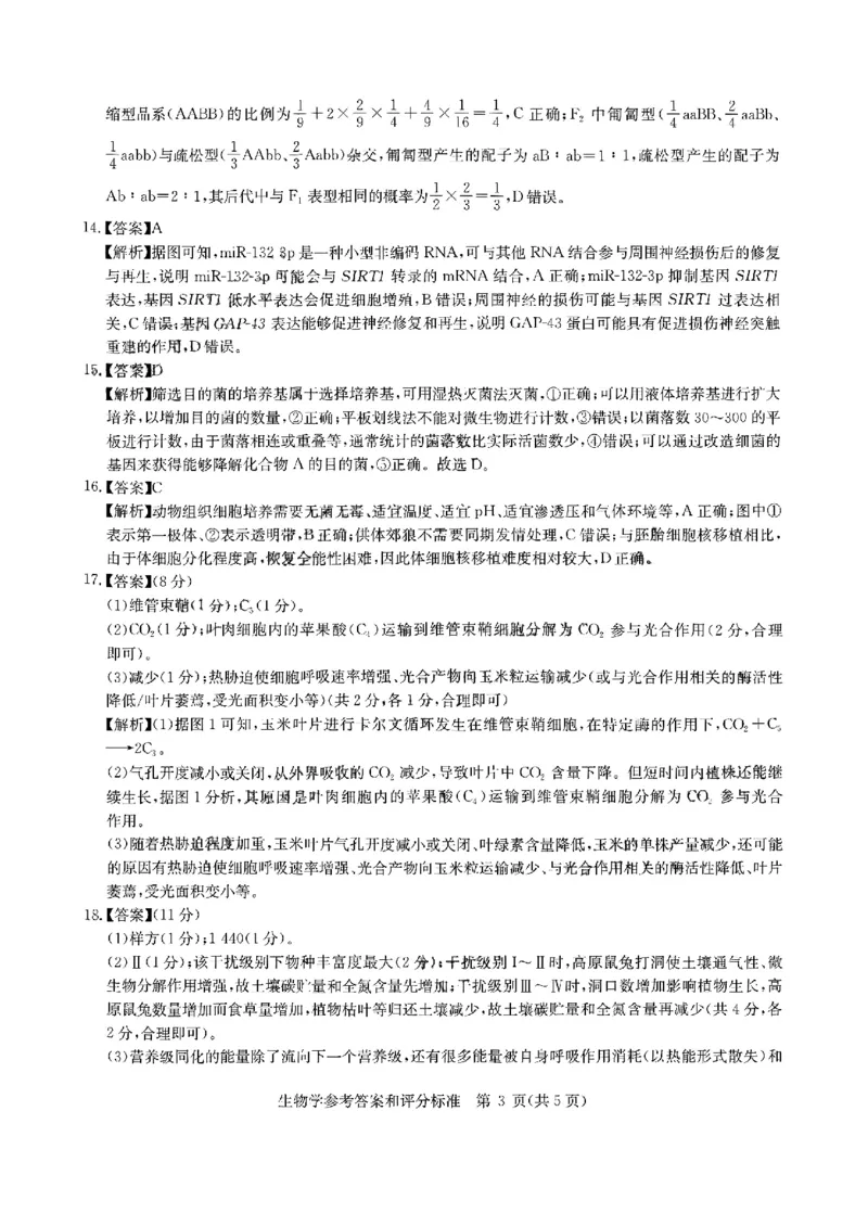 华大新高考联盟2025届高三4月教学质量测评生物答案_2025年4月_250428湖北省华大新高考联盟2025届高三4月教学质量测评（全科）_华大新高考联盟2025届高三4月教学质量测评生物