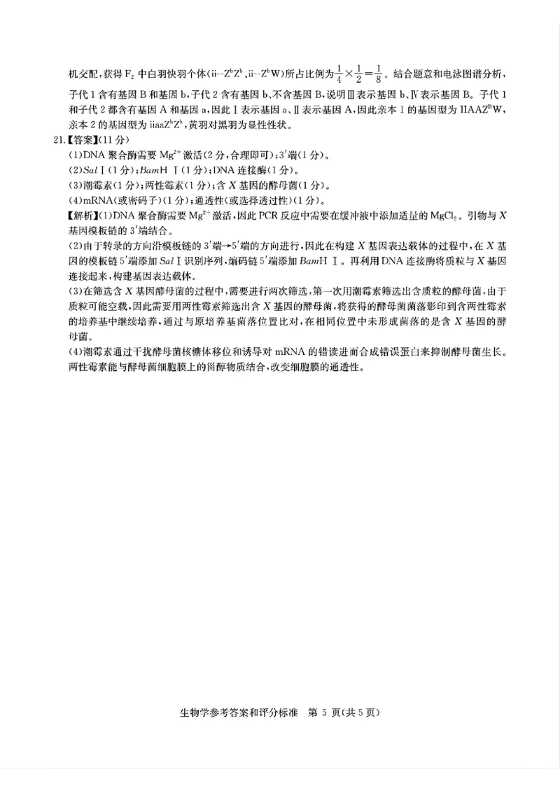 华大新高考联盟2025届高三4月教学质量测评生物答案_2025年4月_250428湖北省华大新高考联盟2025届高三4月教学质量测评（全科）_华大新高考联盟2025届高三4月教学质量测评生物