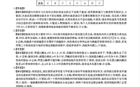 华大新高考联盟2025届高三4月教学质量测评生物答案_2025年4月_250428湖北省华大新高考联盟2025届高三4月教学质量测评（全科）_华大新高考联盟2025届高三4月教学质量测评生物