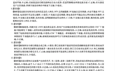华大新高考联盟2025届高三4月教学质量测评生物答案_2025年4月_250428湖北省华大新高考联盟2025届高三4月教学质量测评（全科）_华大新高考联盟2025届高三4月教学质量测评生物
