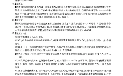 华大新高考联盟2025届高三4月教学质量测评生物答案_2025年4月_250428湖北省华大新高考联盟2025届高三4月教学质量测评（全科）_华大新高考联盟2025届高三4月教学质量测评生物