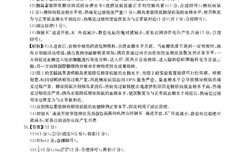 华大新高考联盟2025届高三4月教学质量测评生物答案_2025年4月_250428湖北省华大新高考联盟2025届高三4月教学质量测评（全科）_华大新高考联盟2025届高三4月教学质量测评生物