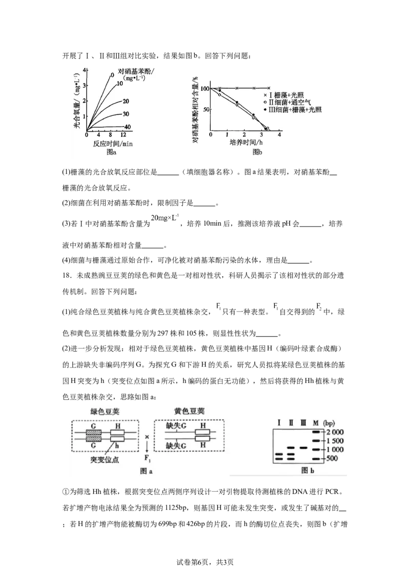 湖南2025年高考湖南卷生物高考真题文档版-A4答案卷尾_1.高考2025全国各省真题+答案_00.2025各省市高考真题及答案（按省份分类）_8、湖南卷（9科全）_6.生物