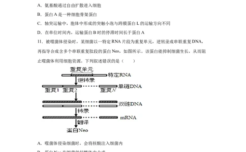 湖南2025年高考湖南卷生物高考真题文档版-A4答案卷尾_1.高考2025全国各省真题+答案_00.2025各省市高考真题及答案（按省份分类）_8、湖南卷（9科全）_6.生物