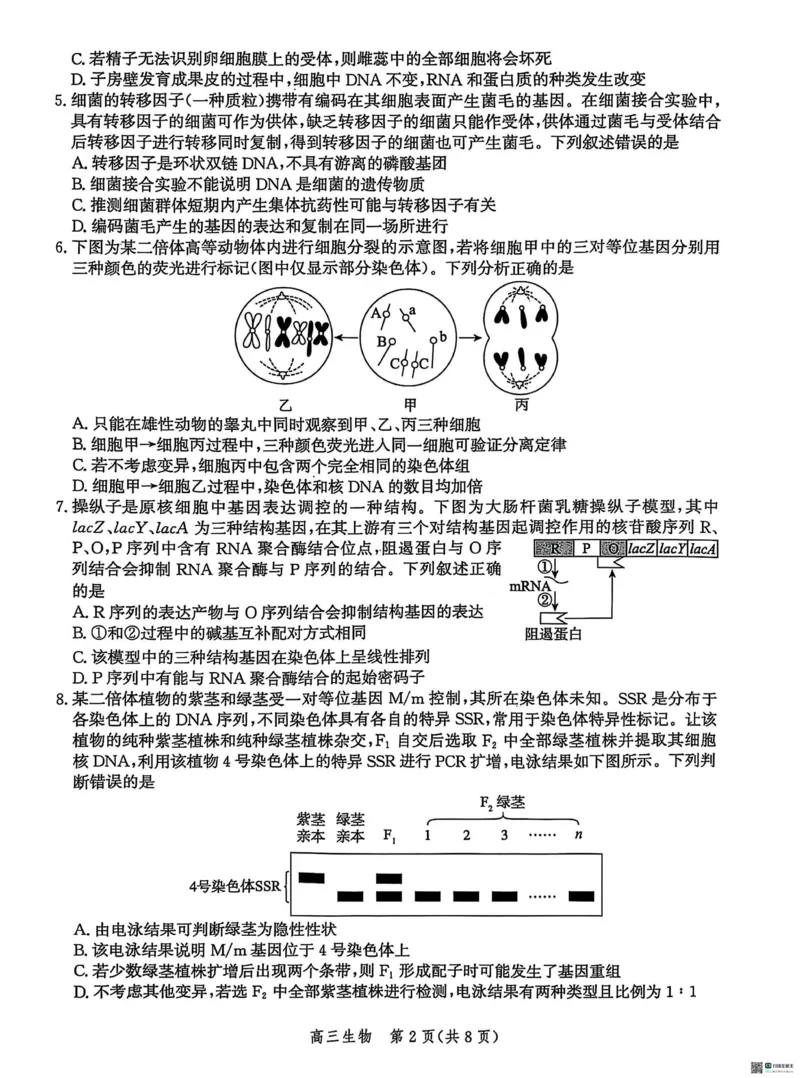2025届河北省沧州市沧衡八县联考高三下学期一模生物试题（含答案）_2025年3月_2503152025届河北省沧州市沧衡八县联考一模（全科）