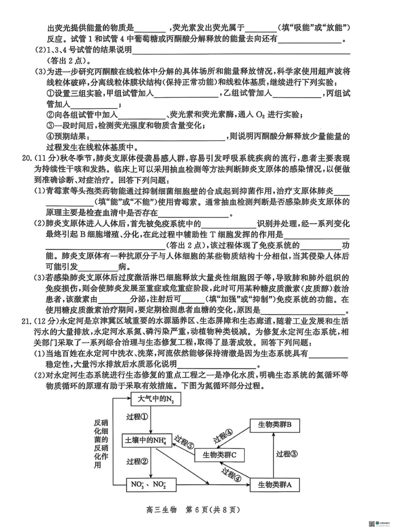 2025届河北省沧州市沧衡八县联考高三下学期一模生物试题（含答案）_2025年3月_2503152025届河北省沧州市沧衡八县联考一模（全科）